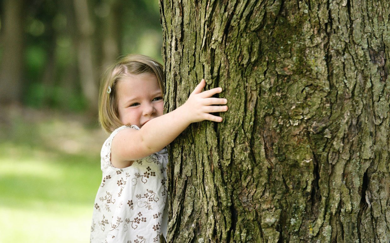 Read more about the article درختان را در آغوش بگیرید
